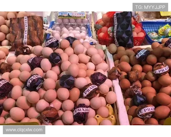 朱雪莹领奖后拎着菜市场塑料袋那张图，反差感直接把我笑趴